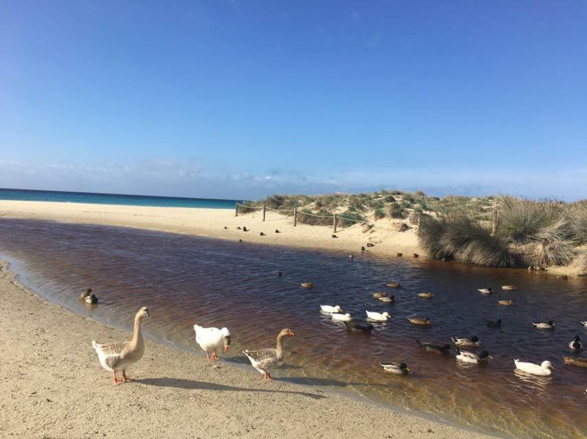 Apartamento El Descanso Son Bou Dış mekan fotoğraf